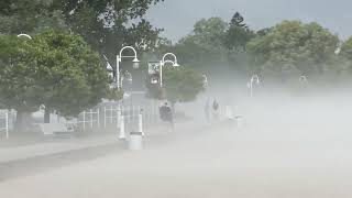 Windy Day at Victoria Beach in Cobourg July 30 2024 [upl. by Llennehc32]