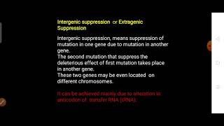 Intergenic or Extragenic Suppression  Genetic suppression part 2 [upl. by Nomannic]