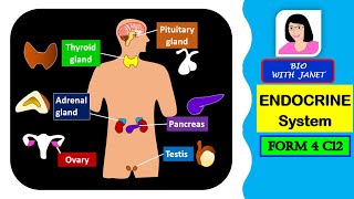 SPM BIOLOGY FORM 4 CHAPTER 12 126 ENDOCRINE SYSTEM [upl. by Aicilram]