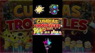 CUMBIAS TROPICALES 2024 DEL ANO🌴🌟CUMBIAS VIEJITAS PERO BONITAS PARA BAILAR🎉🌻LOS KARKIKS EL NEGRO 59 [upl. by Rubliw]