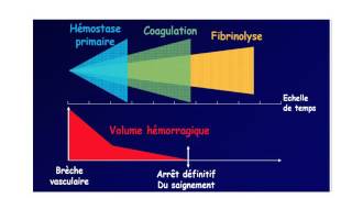 HEMATOLOGIE Inhibiteurs physiologiques de la coagulation  fibrinolyse [upl. by Edyaj]