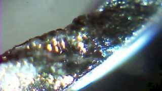 Lithium Reaction under Microscope [upl. by Verdi]