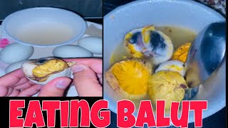 EATING FERTILIZED DUCK EGG TASTE GOOD satisfying eating mukbang [upl. by Aryl]