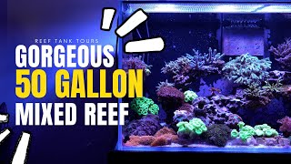 Gorgeous Mixed 50 Gallon Reef  Canadian Tank Tours  Wael EF [upl. by Jarlathus637]