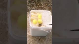 An Easy Way to Peel Potatoes [upl. by Patsis738]