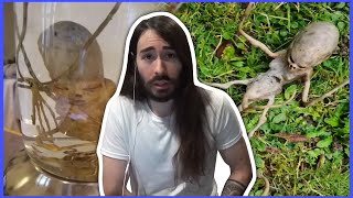 Charlie Reviews Alien Evidence  MoistCr1tikal [upl. by Yerfej405]