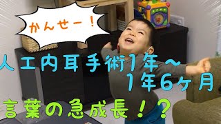 【人工内耳手術後1年から1年6ヶ月】言葉の成長がグンと伸びる！ [upl. by Salvay]