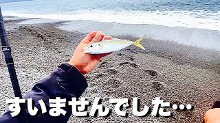 誰も居ない砂浜に生きたアジをぶっ込むと…最悪の事態になった [upl. by Yenots]