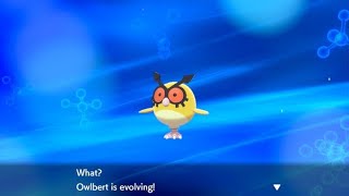 SHINY HOOTHOOT EVOLUTION Pokemon Sword and Shield [upl. by Slaby320]