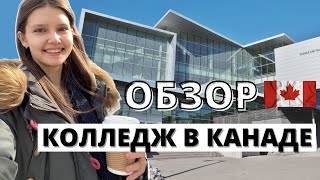 Sheridan college Mississauga Canada КОЛЛЕДЖ В КАНАДЕ [upl. by Guod392]