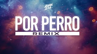 POR PERRO Remix  SEBASTIAN YATRA LUIS FIGUEROA LARY OVER  Braian Leiva [upl. by Yrkcaz]