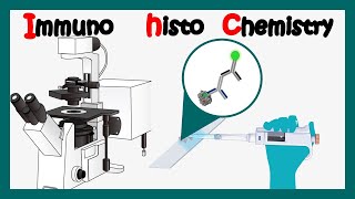 Immunohistochemistry  How to perform immunohistochemistry  application of immunohistochemistry [upl. by Kono665]