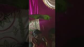 manasa puja vidhi at home 2024 [upl. by Jase760]