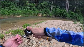 Malayan Trout Stream Fishing  Daiwa Silver Creek Air TW Stream Custom  Day 1 [upl. by Meldon]