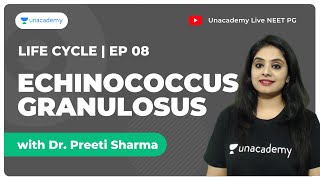 Life cycles  Ep8  Echinococcus Granulosus  Microbiology  Dr Preeti Sharma [upl. by Onirotciv714]