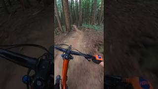 Tiger Mountain MTB [upl. by Thorbert]