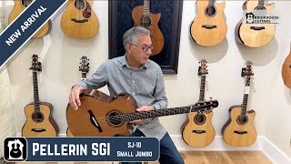 Pellerin SGI SJ10 Demo by Roger Schmidt [upl. by Nomrej]