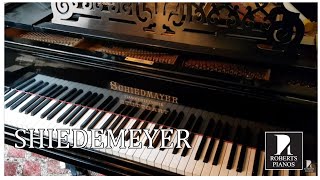 Assessment of Schiedmayer grand piano c1883 black [upl. by Lovmilla]