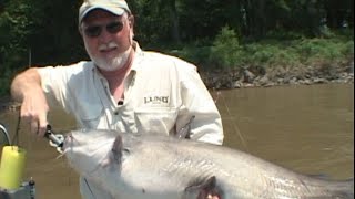 Catfishing the Mississippi River Catfishing America Season 1 Episode 4 [upl. by Eivlys268]