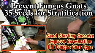 Poor Seed Germination amp Fungus Gnats Resolved 35 Seeds that Benefit from StratificationCold [upl. by Nelad561]