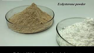 ecdysterone extract [upl. by Desmond221]