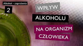 Wpływ alkoholu na organizm człowieka [upl. by Nairod]