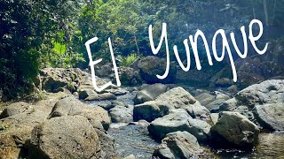 Panoramas of Puerto Rico El Yunque National Rainforest [upl. by Rosemare]