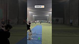 Speed Sensation Bowling Moments 🔥 Cricket Pace Bowlers Yorkers Changed Match cricket shorts [upl. by Shaun]