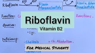 Riboflavin  Active Form Functions Dietary Sources Deficiency Manifestations [upl. by Zat]