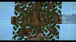 Playing DiamondFire Minigames Minecraft [upl. by Arvin93]