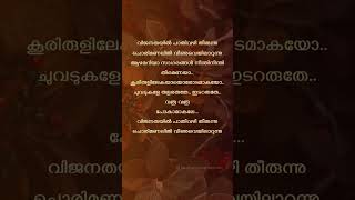 Vijanathayil 😇 trending viral malayalamlyrics [upl. by Sterne]