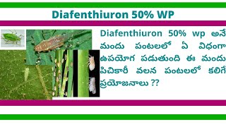 Diafenthiuron 50 wp Insecticide [upl. by Acired]