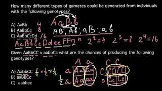 How many different types of gamets could be generated from individuals with the following genotypes [upl. by Ahsoyem]