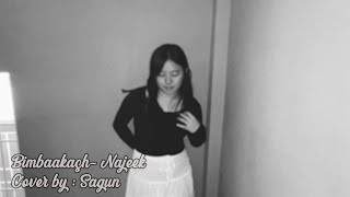 Bimbaakash  Najeek  Sagun cover [upl. by Anuala]