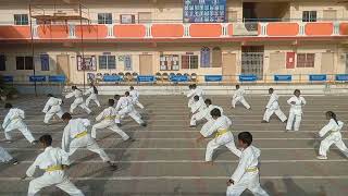 Gurushree Vidya Kendra Karate students [upl. by Huckaby361]