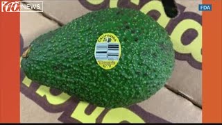 Avocados recalled for potential listeria contamination  10News WTSP [upl. by Nhguavoj]