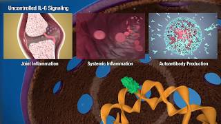 JAKSTAT Signaling Transduction Pathways [upl. by Whipple]