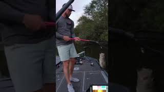 Swimbait Fishing in Florida  Megabass Vatalion [upl. by Serge763]