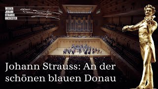 🎻 Johann Strauss II An der schönen blauen Donau  Walzer op 314  NYC2024  NewYearsConcert ♪♫ [upl. by Cain]