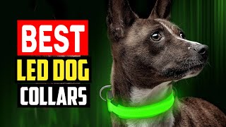 ✅ Top 5 Best LED Dog Collars in 2023 [upl. by Sedicla]