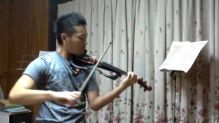 OneRepublic quotSecretsquot violin cover [upl. by Oby739]