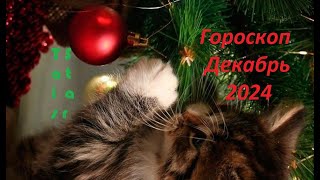 Гороскоп на Декабрь 2024 Козерог 🎄🦄 [upl. by Zingg]