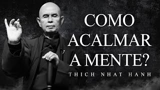 Thich Nhat Hanh  Como Acalmar a Mente [upl. by Ybrad270]