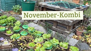 Gartenarbeiten amp Rundgang im November [upl. by Scales]