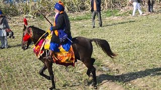 Maghi Mela Sri Muktsar Sahib I Nihang Singh 96 Croori I Baba Budha Dal I Tarna Dal I Damdami Taksal [upl. by Avon]