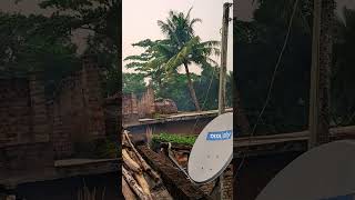 Coconut tree with 📡 photography by mobile nature trending tamilsong trendingsong shootlove [upl. by Latrell]