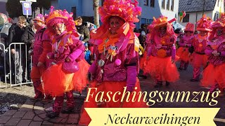 Faschingsumzug Landesnarrentreffen Ludwigsburg Neckarweihingen 2024 Baden Württemberg Carnaval [upl. by Sikleb609]