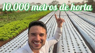 Como é uma horta de 10000 metros quadrados Produz quanto [upl. by Seditsira]