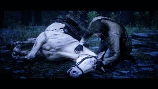 Red Dead Redemption 2  Arthur Morgans horse death scene thank you [upl. by Richie]