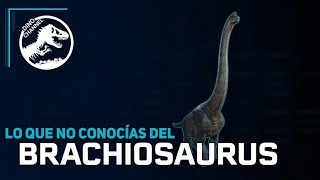 Lo que no conocías del Brachiosaurus [upl. by Latyrc]